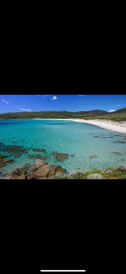 Ajaccio Magnifique T2 37M2 Centre Ville Vue Mer Au Bord De La Plage Neuf 4 Couchages Balcon Parking Prive Ferme Clim Wifi 外观 照片